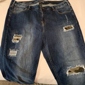 Lane Bryant Jeans